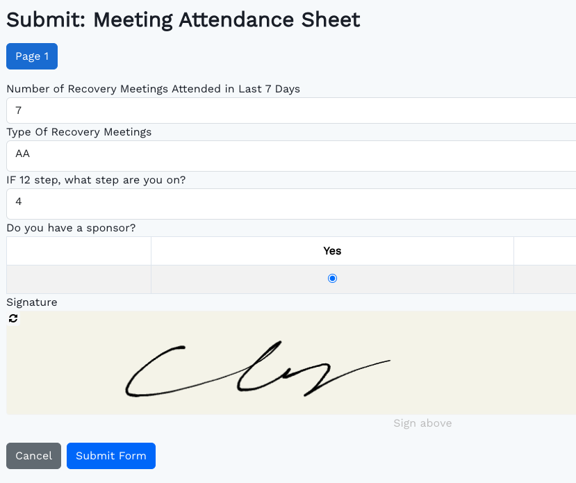 Introducing the New Custom Forms Feature in Sobriety Hub: Elevating ...